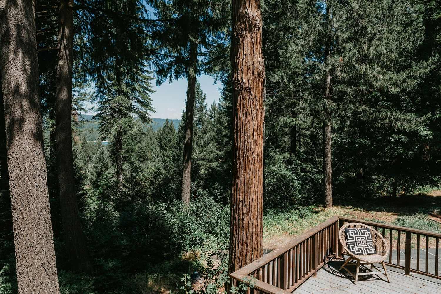 Trees from the deck at Stone House Lodge